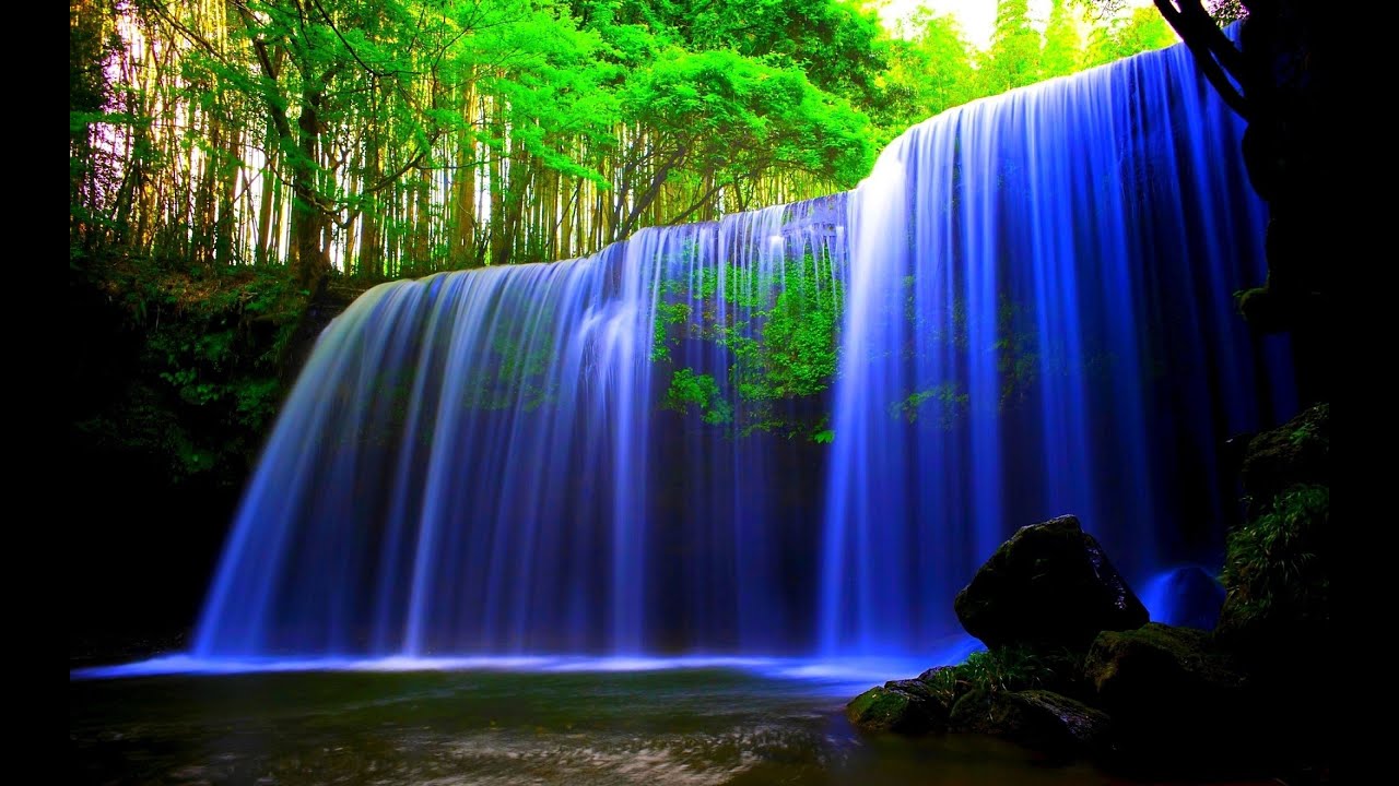 Forest Waterfall Background