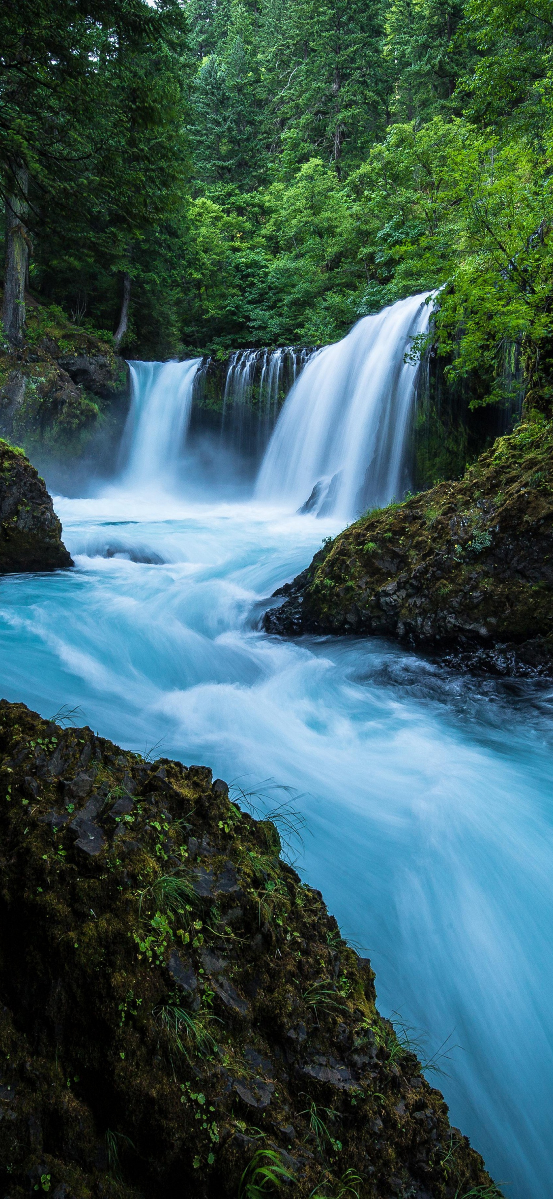 Forest Waterfall Background