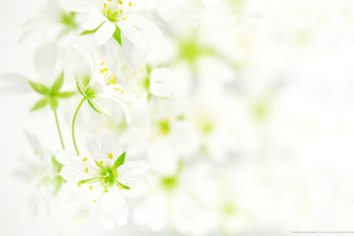 Funeral Backgrounds