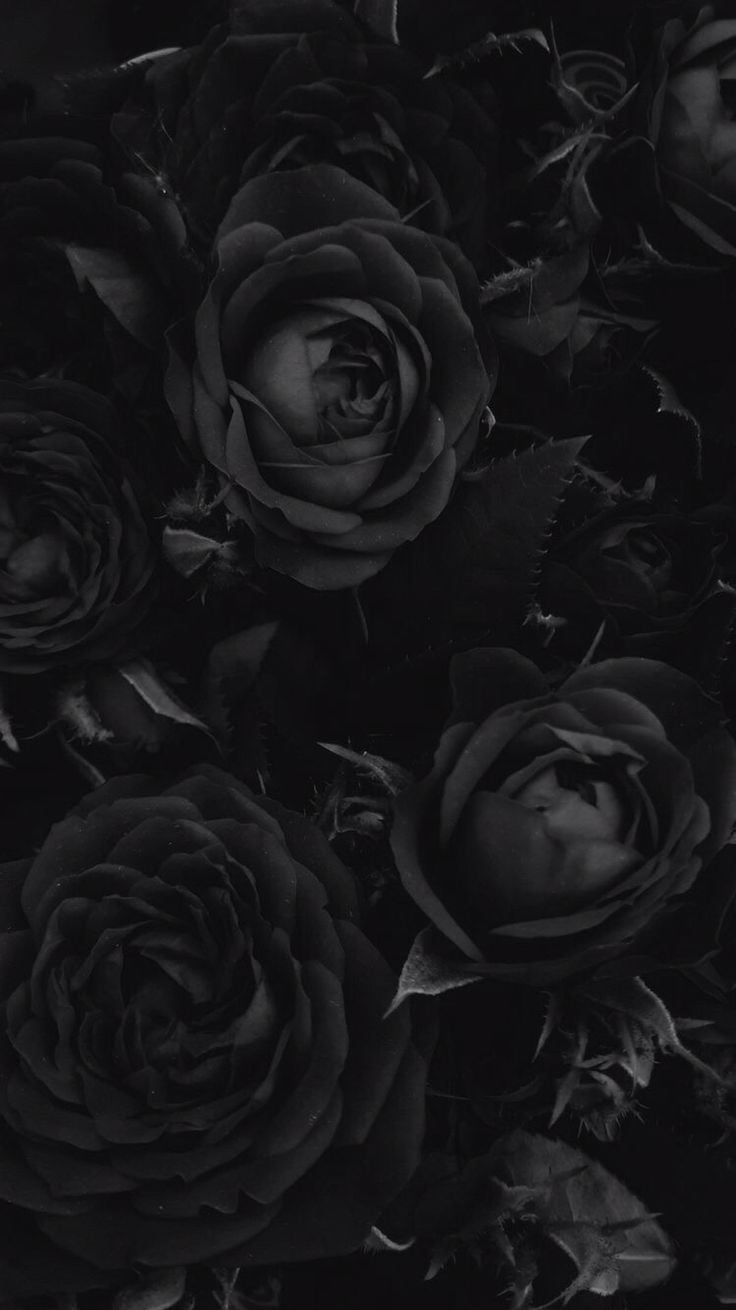 Gothic Rose Background