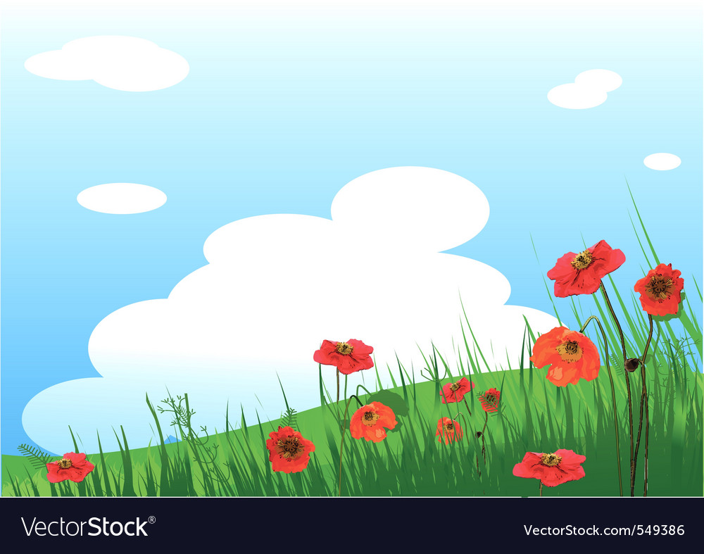 Grassy Field Background