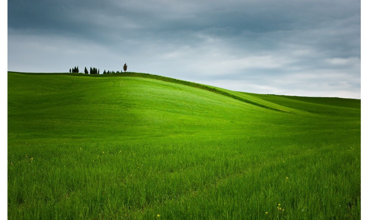 Grassy Hill Background