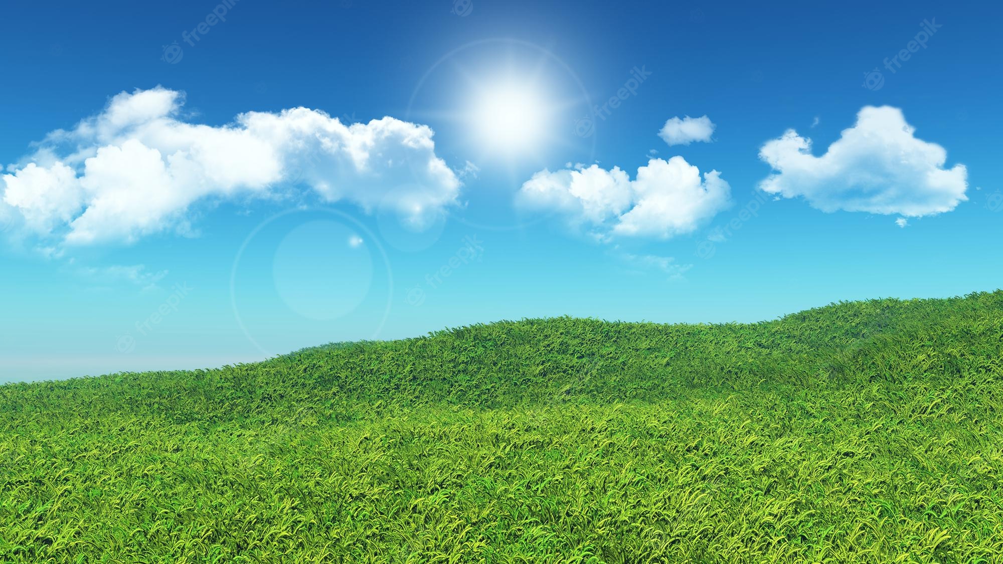 Grassy Hill Background