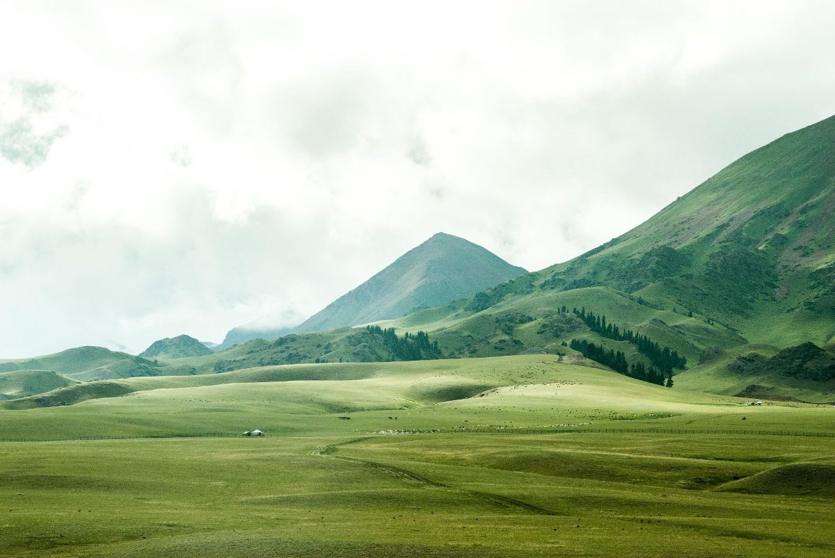 Grassy Hill Background