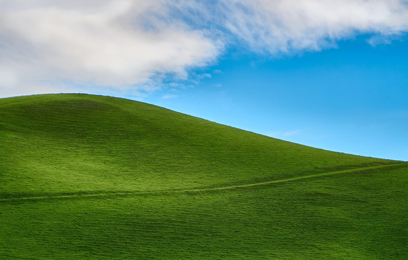 Grassy Hill Background