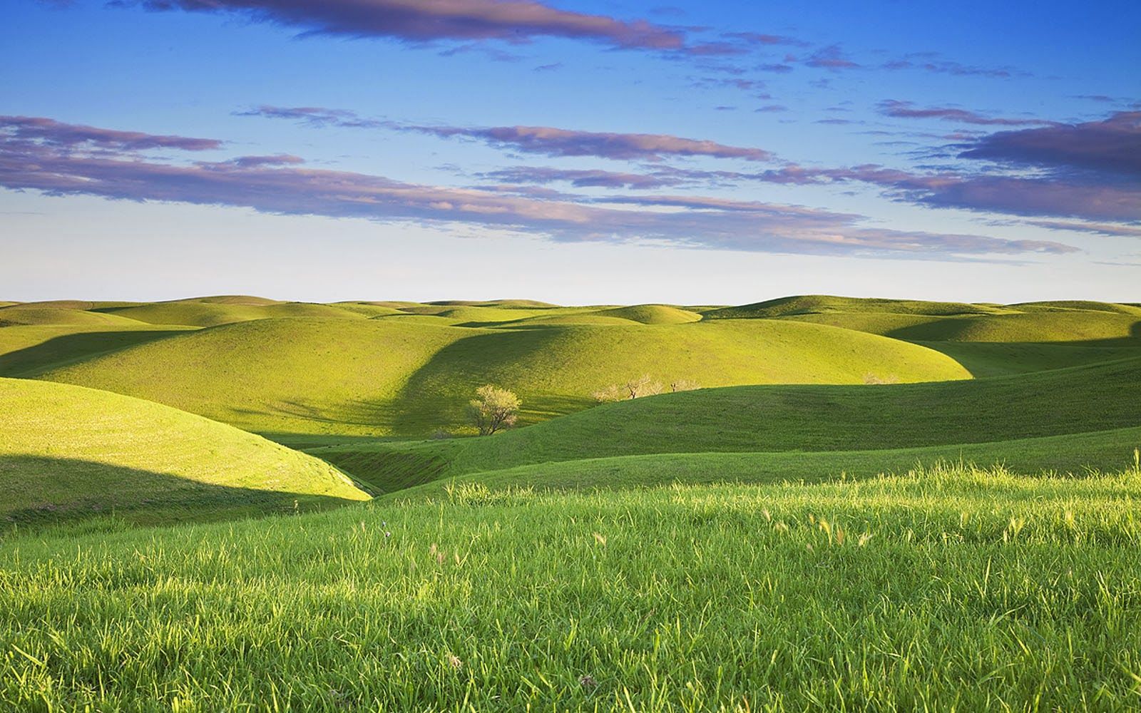 Grassy Hill Background