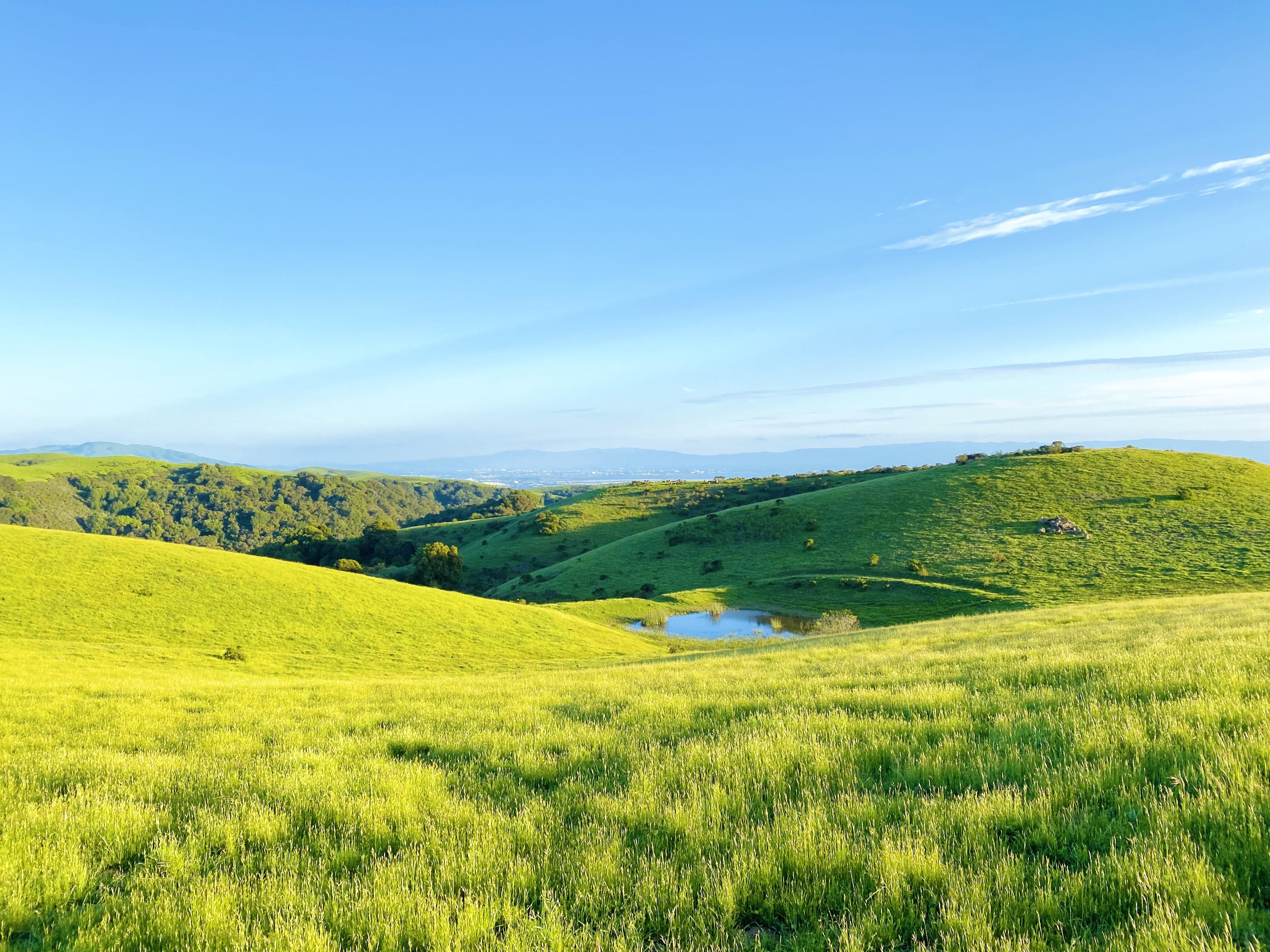 Grassy Hill Background