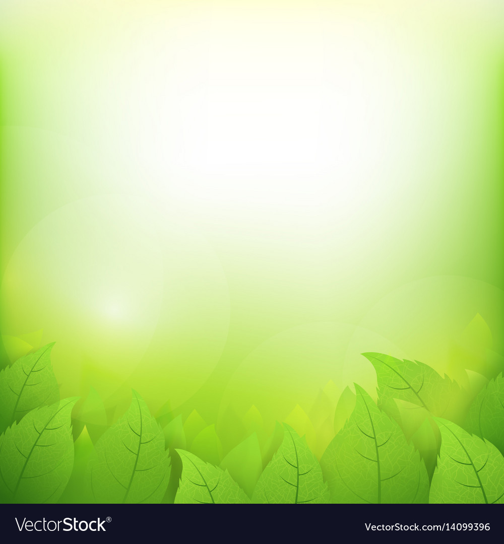 Green Gradient Background