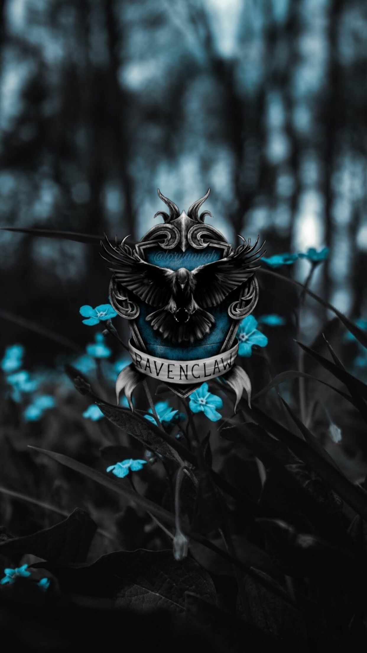 Harry Potter Background Ravenclaw