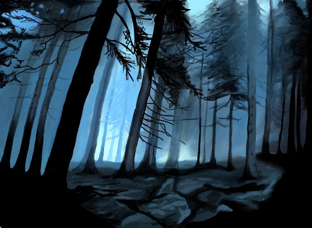Harry Potter Forest Background