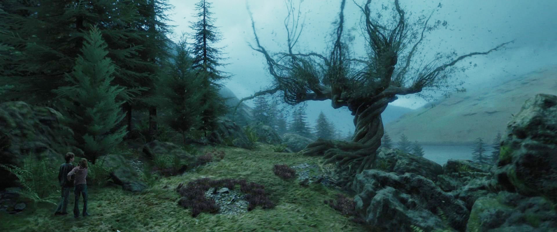 Harry Potter Forest Background