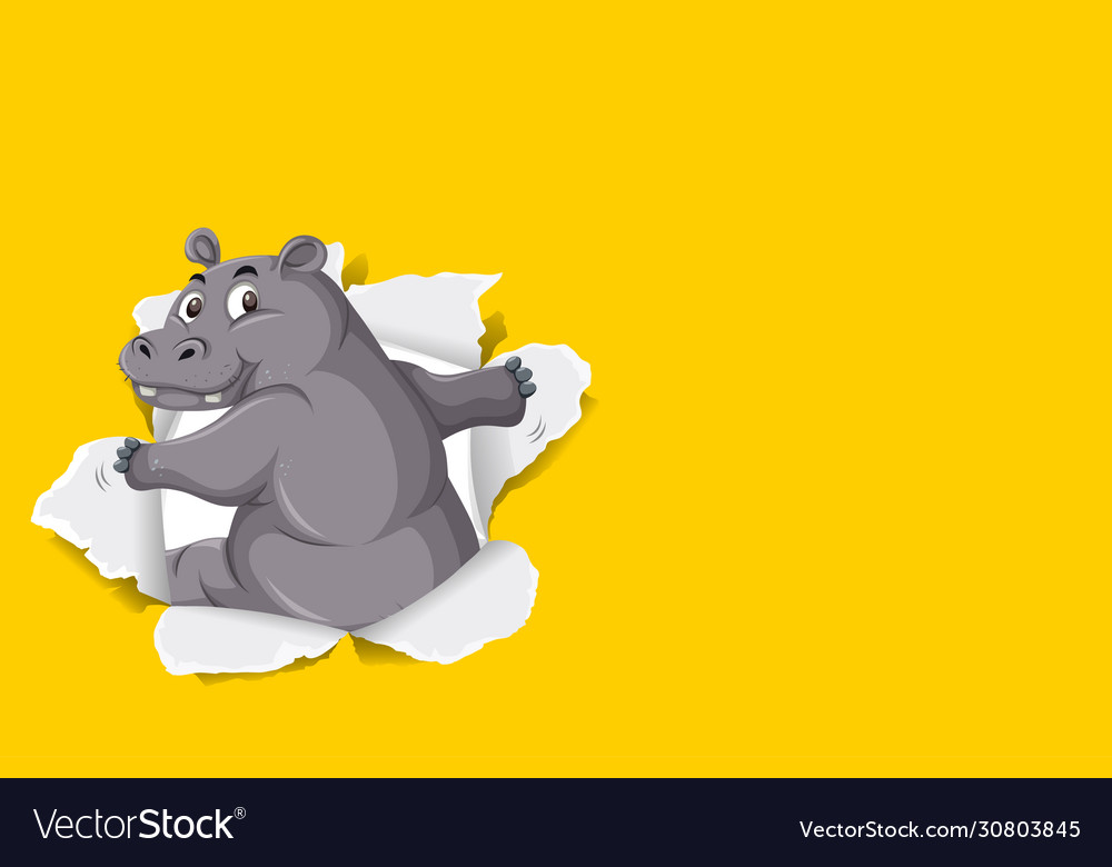 Hippo Background