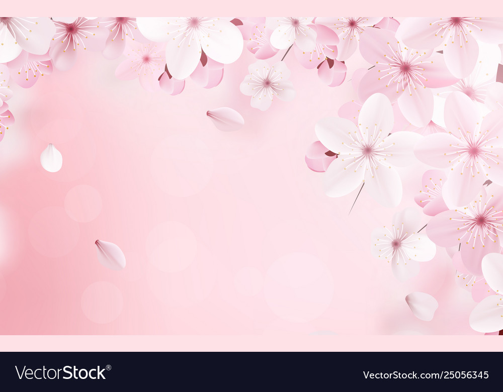 Hot Pink Flower Background