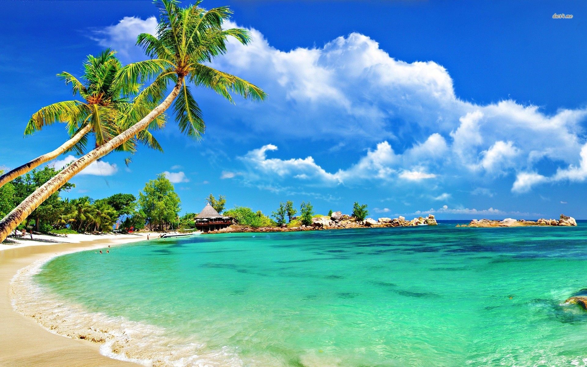 Jamaica Beach Background