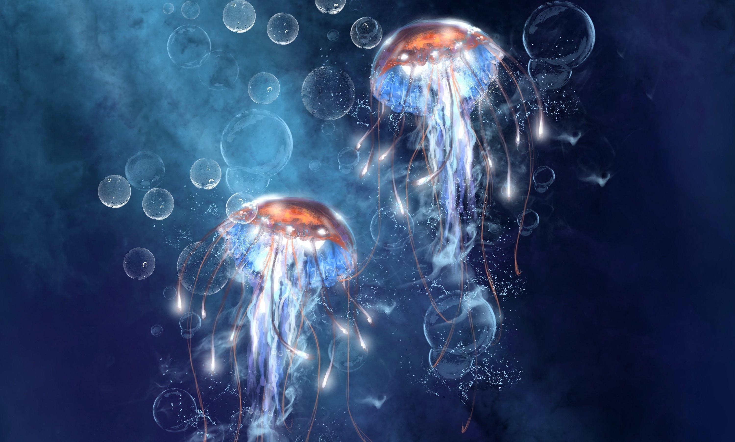 Jellyfish Backgrounds