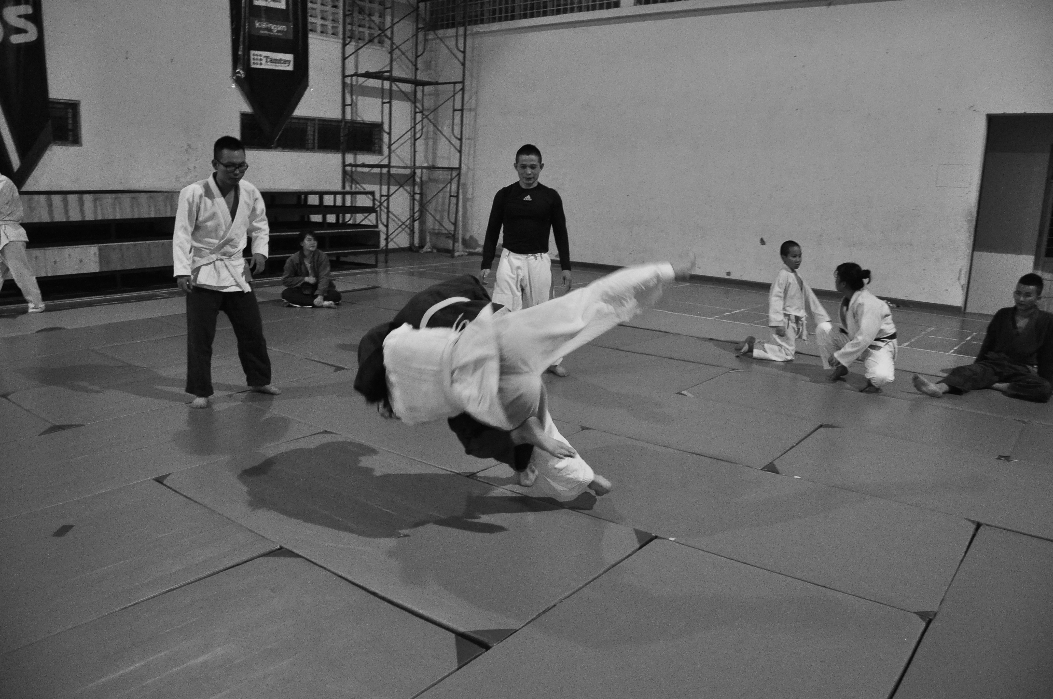 Judo Background