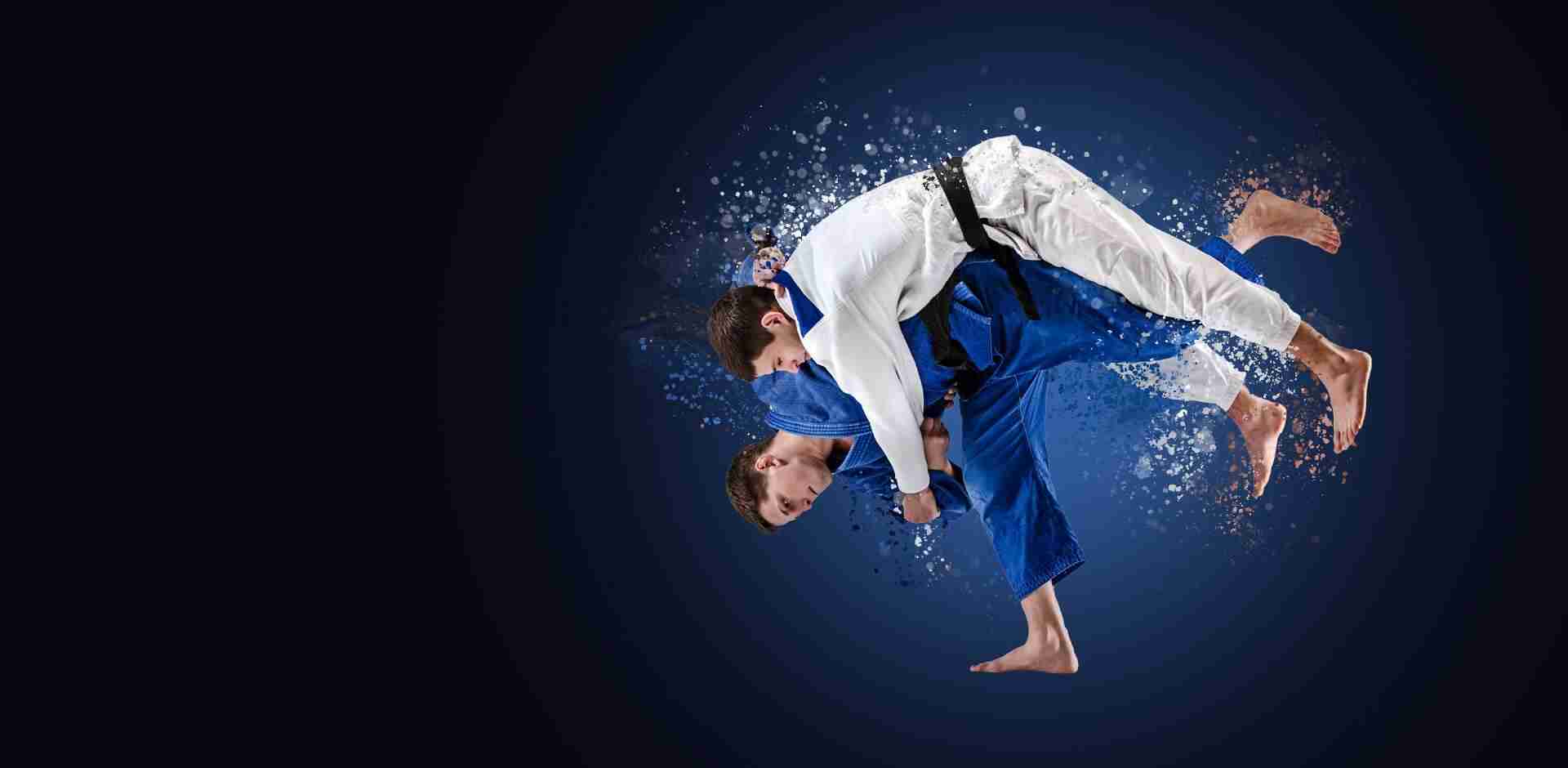 Judo Background