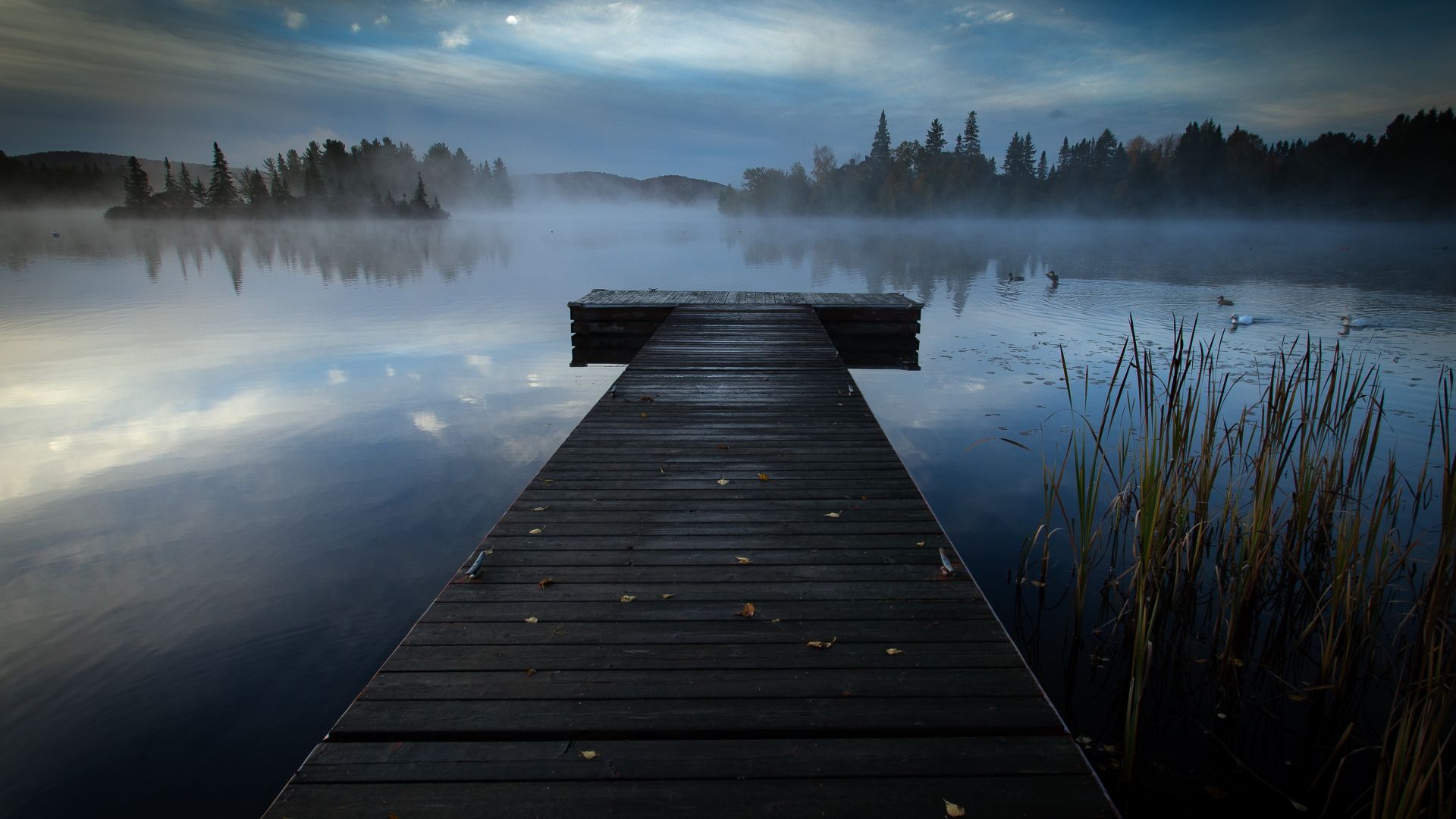 Lake Dock Background