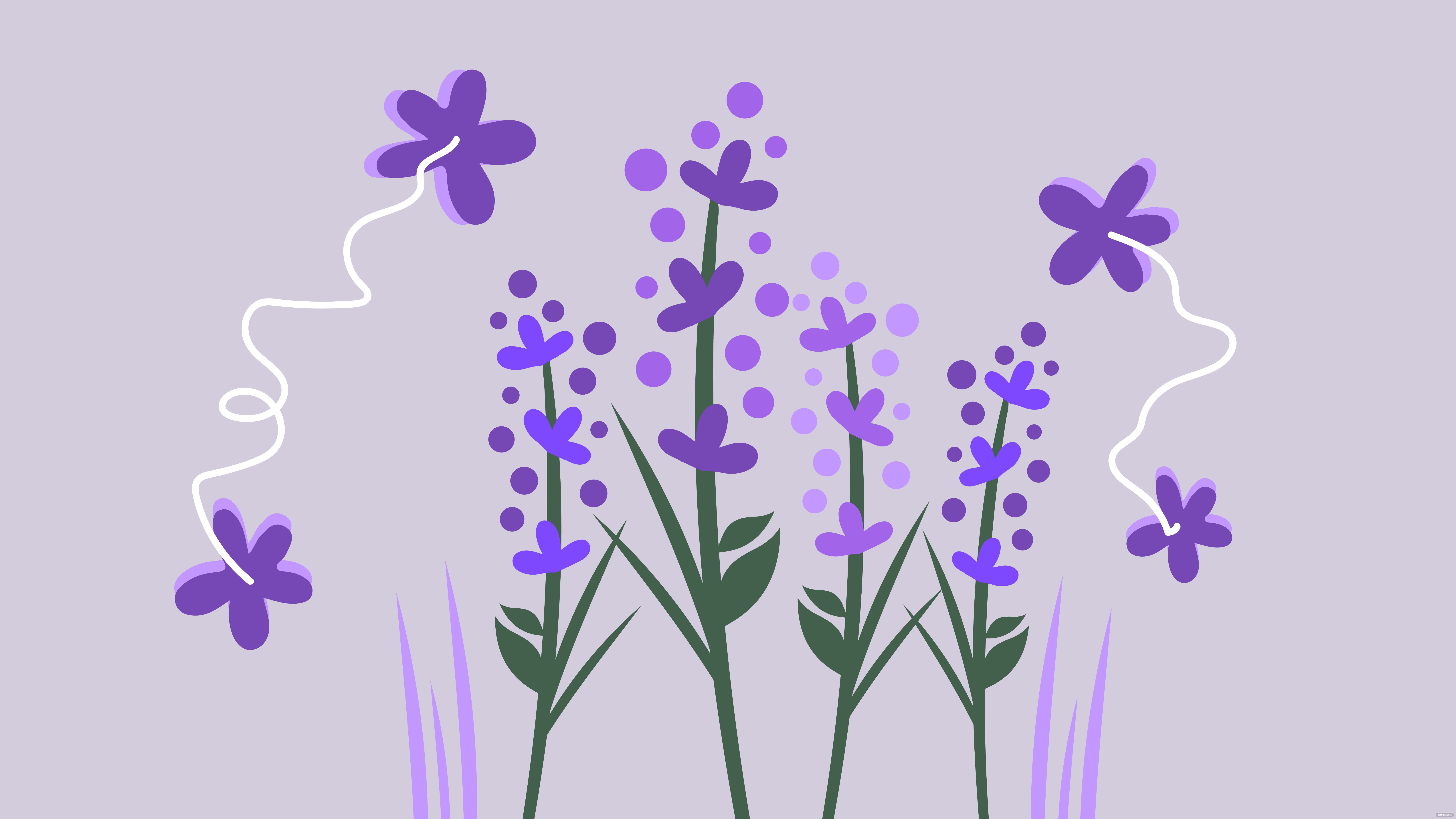 Lavender Flower Backgrounds