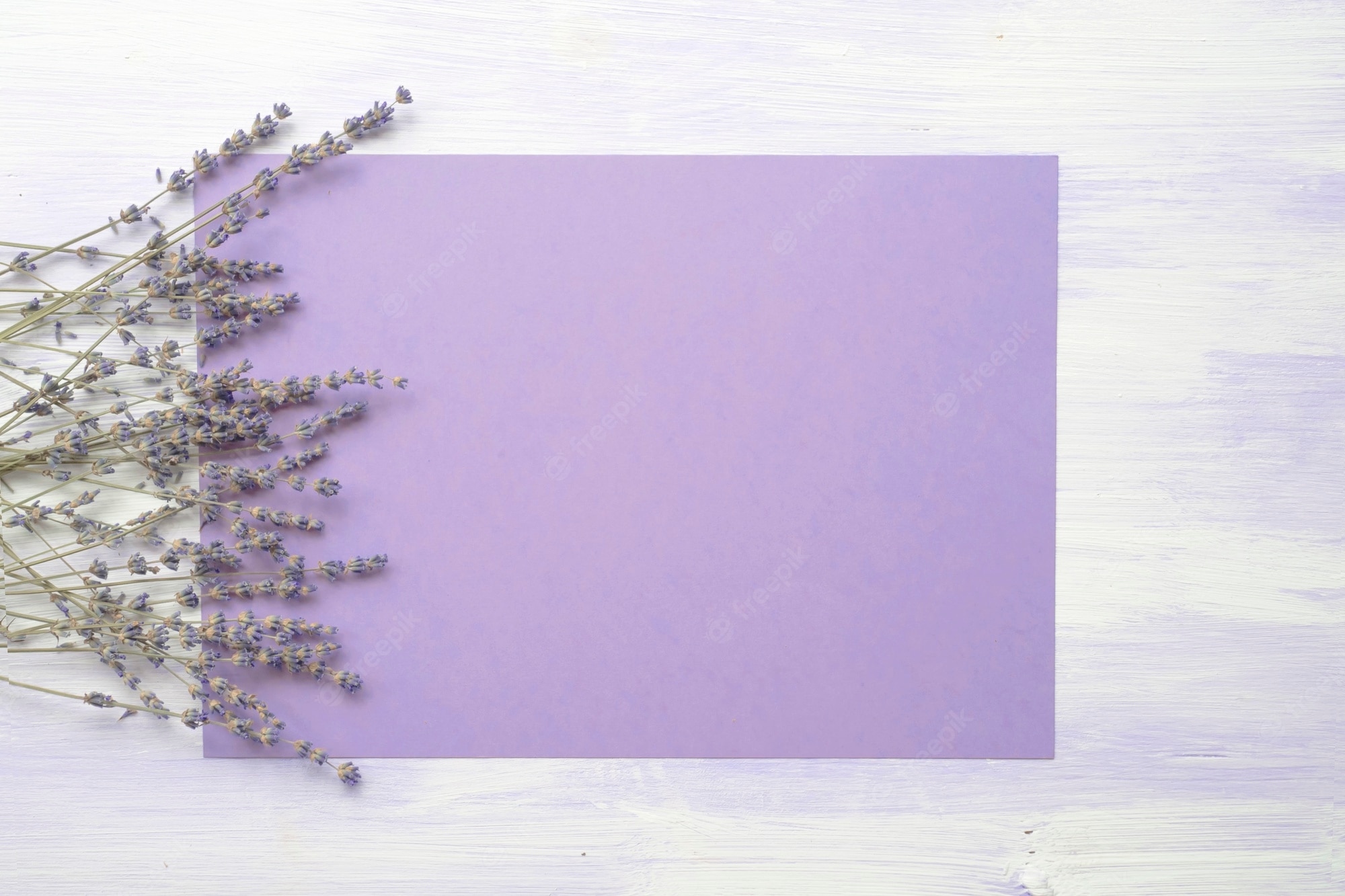 Lavender Flower Backgrounds