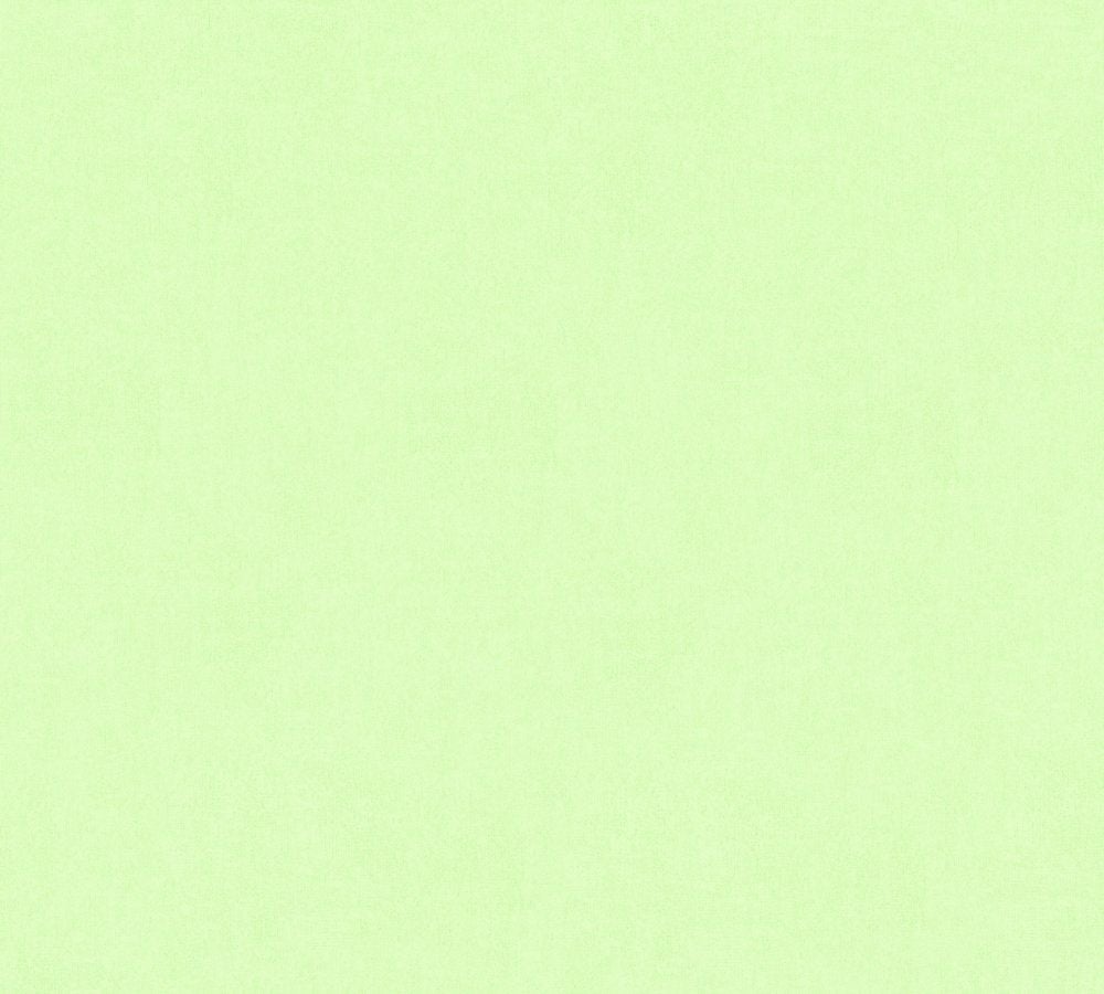 Light Green Background