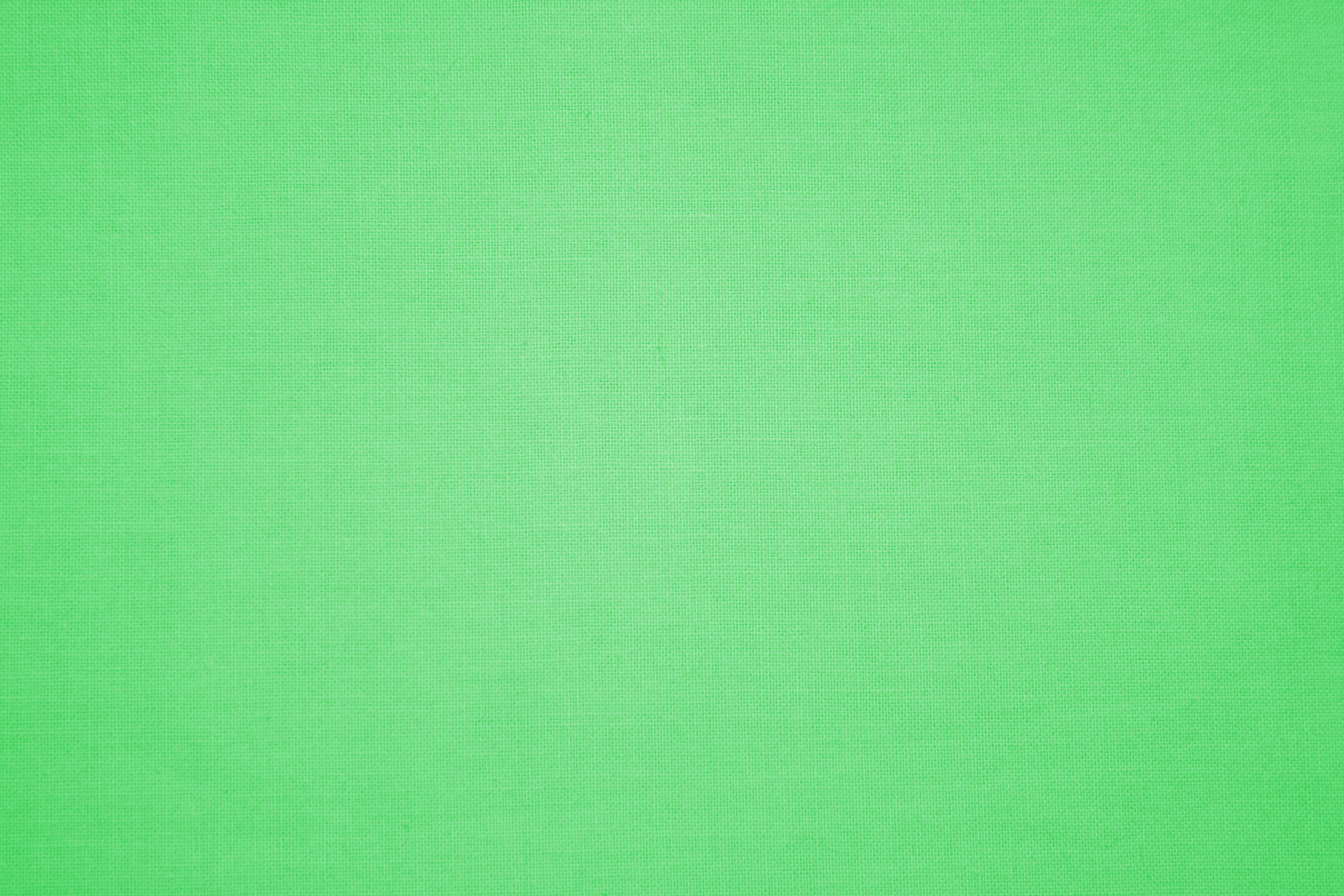 Light Green Background