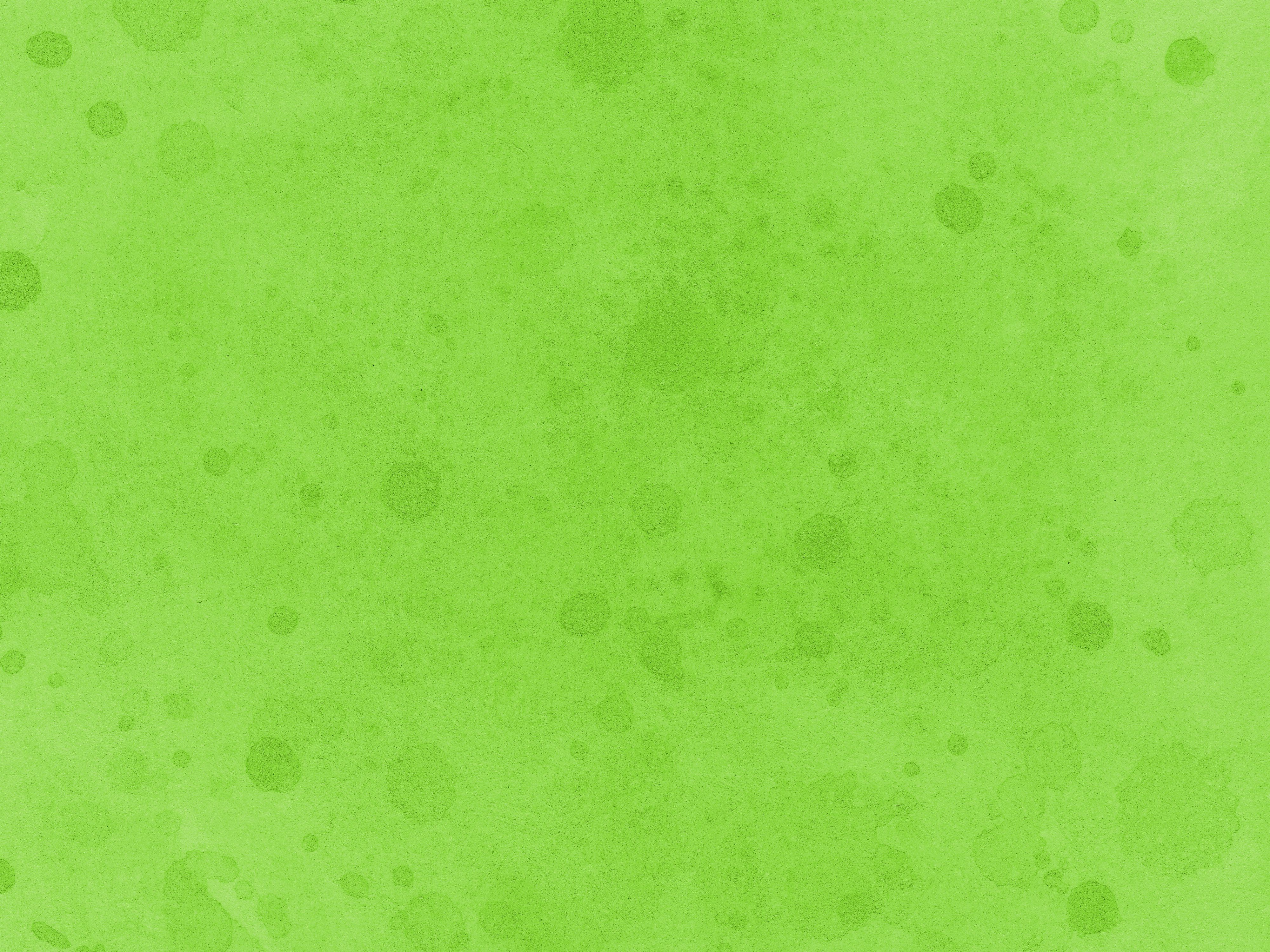 Light Green Background