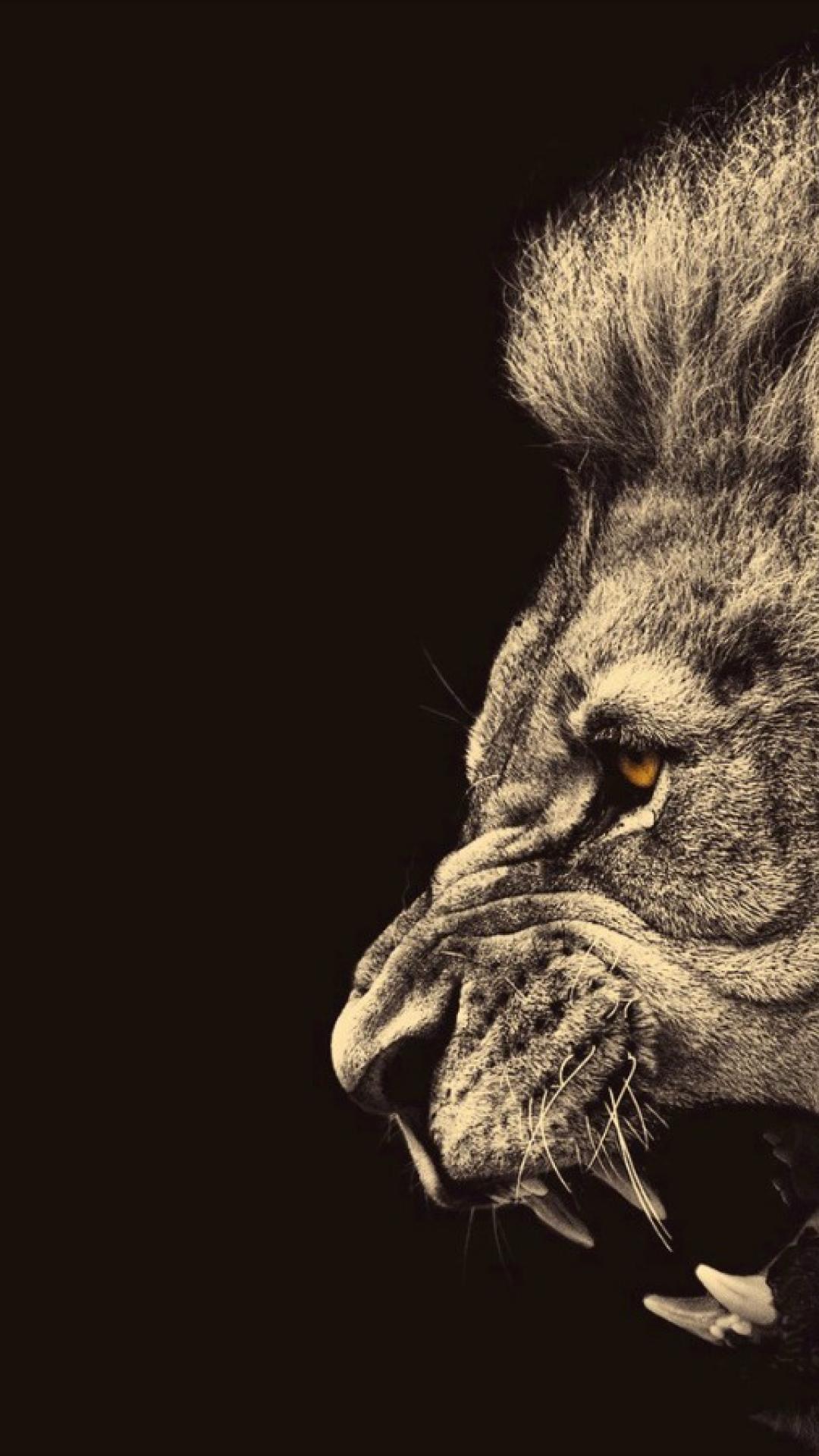 Lion Background Iphone