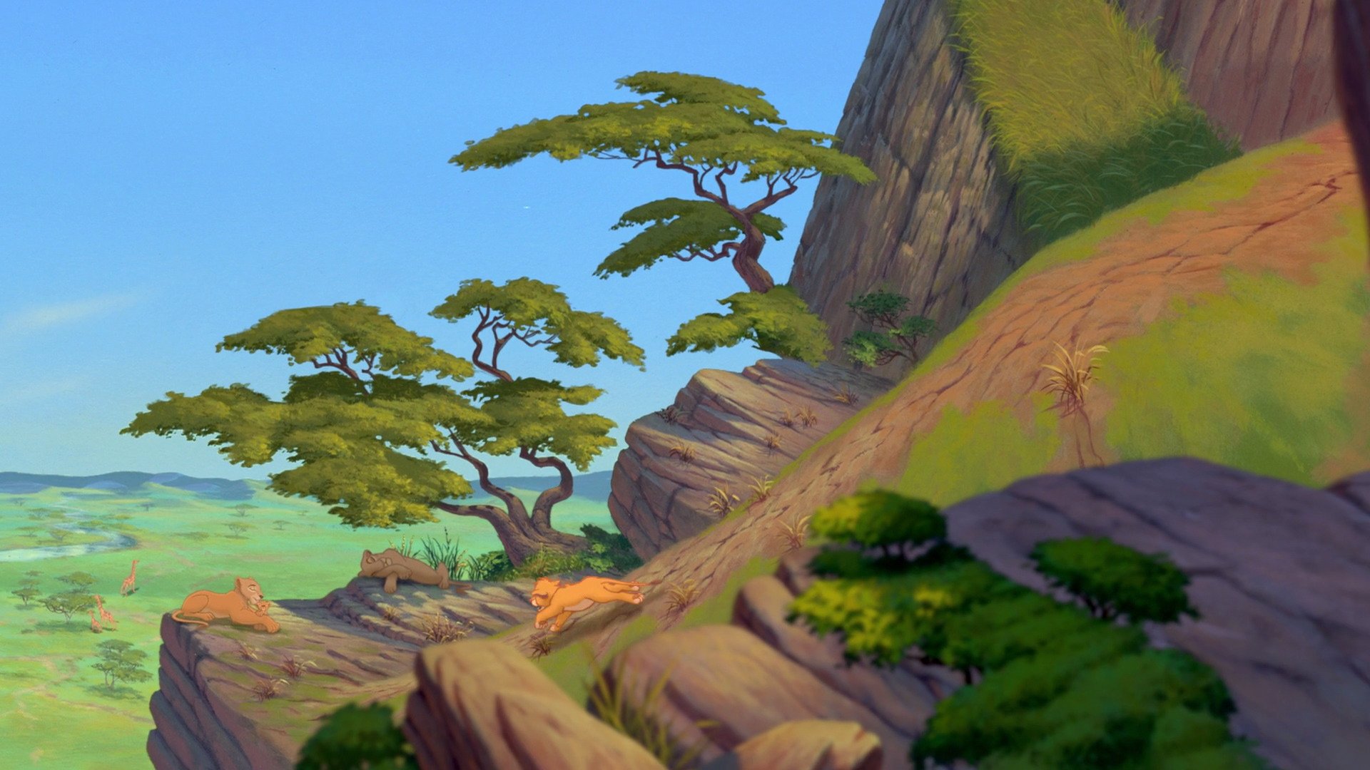 Lion King Background