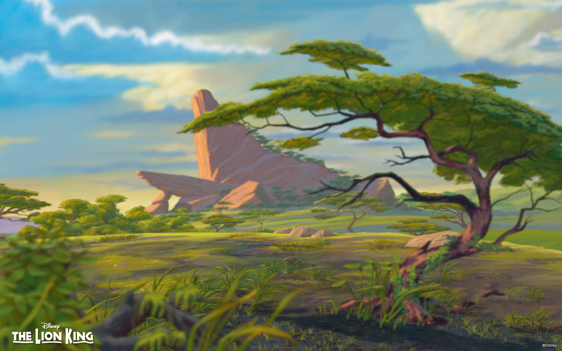 Lion King Background