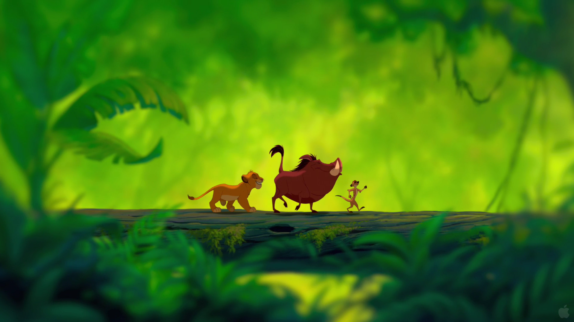 Lion King Background