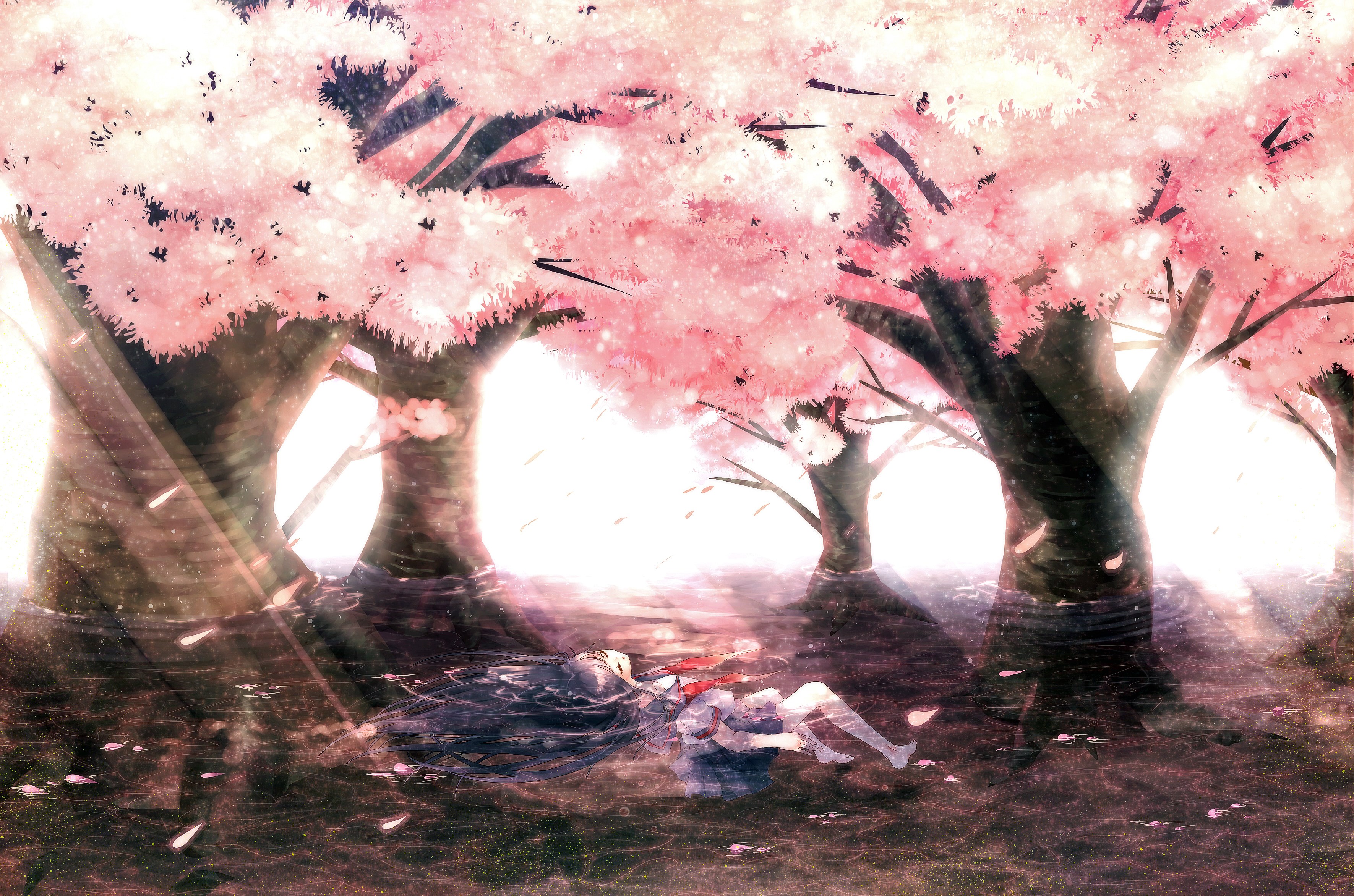 Madoka Magica Backgrounds