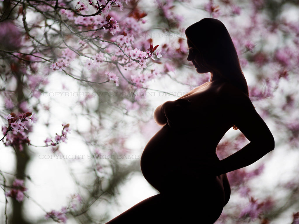 Maternity Background Hd