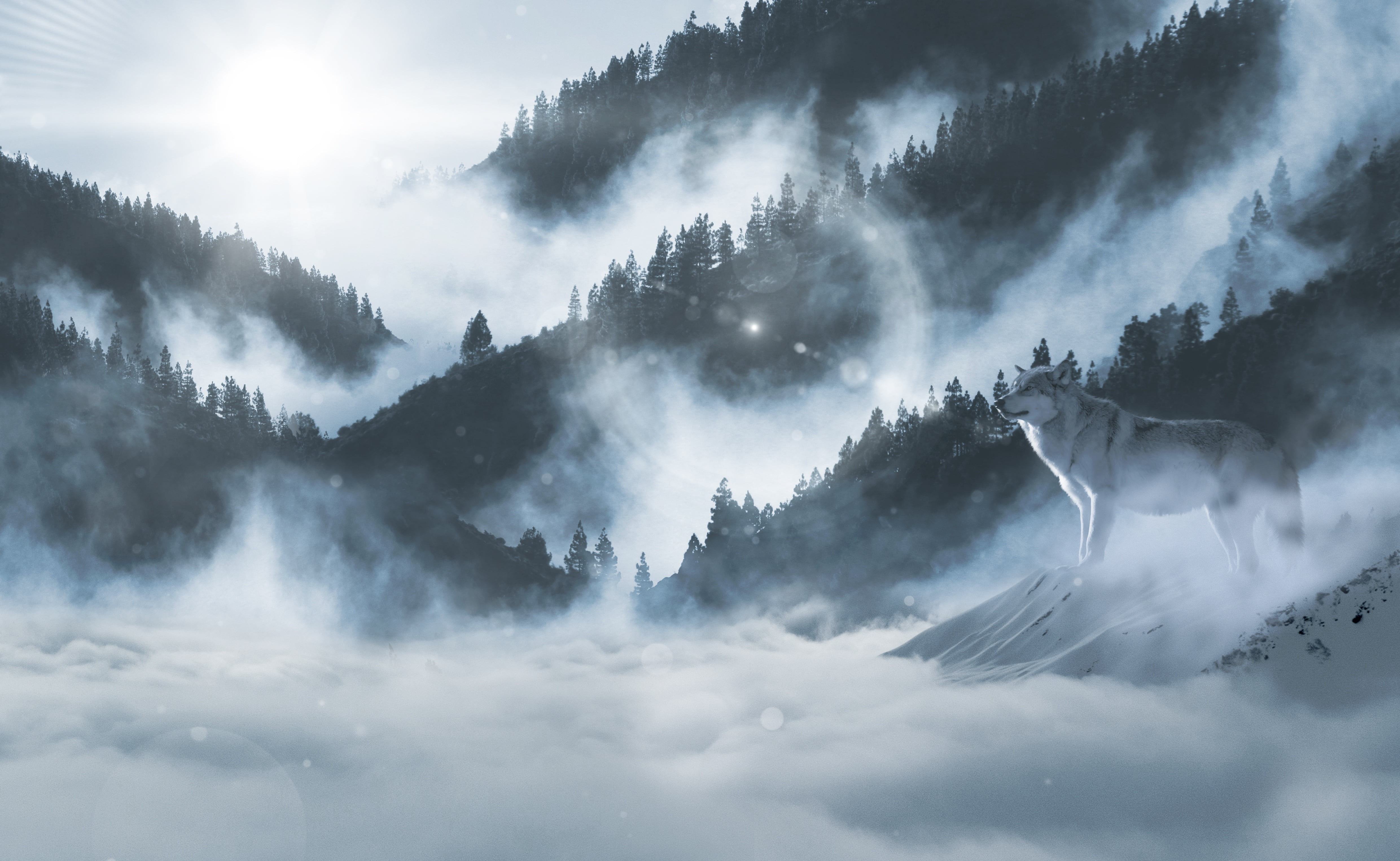 Misty Mountain Background