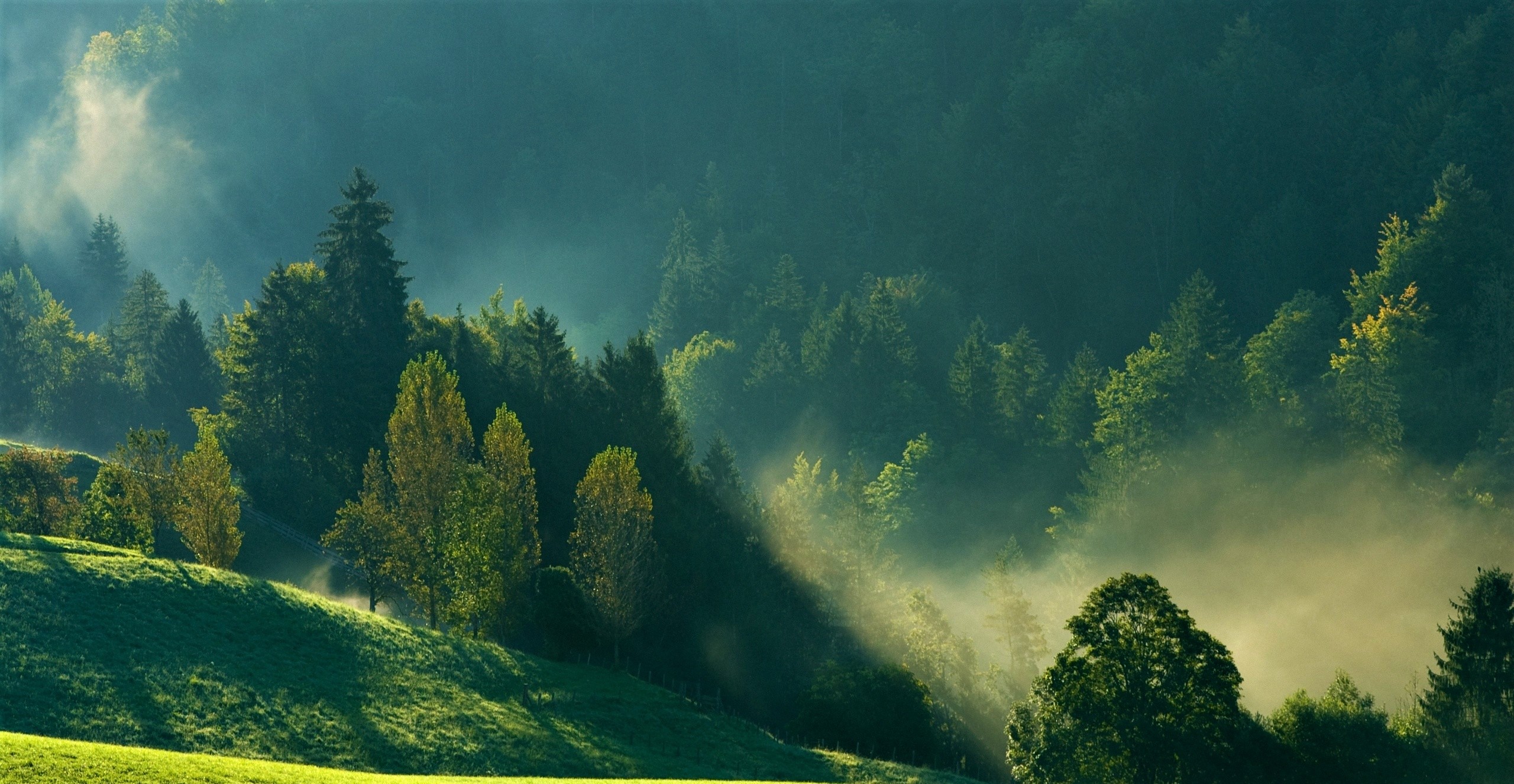 Misty Mountain Background