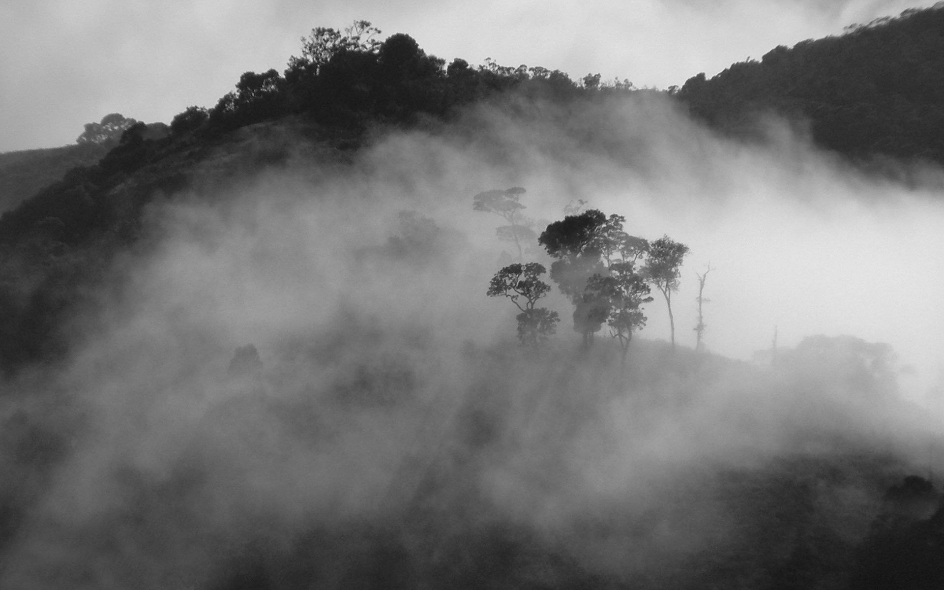 Misty Mountain Background