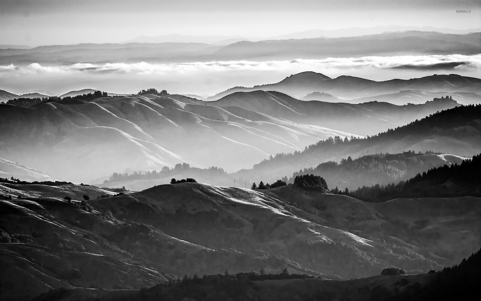 Misty Mountain Background