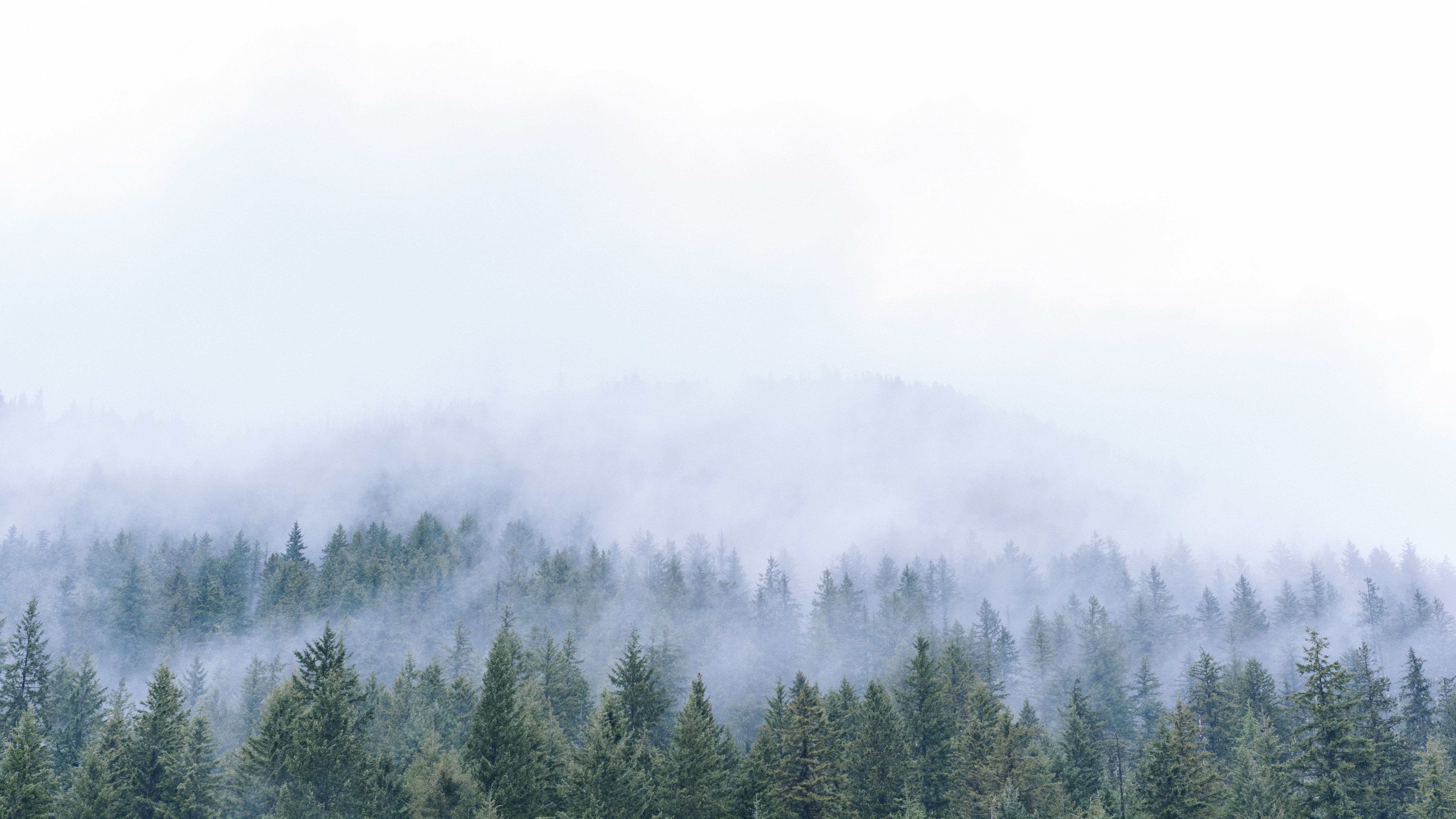 Misty Mountain Background