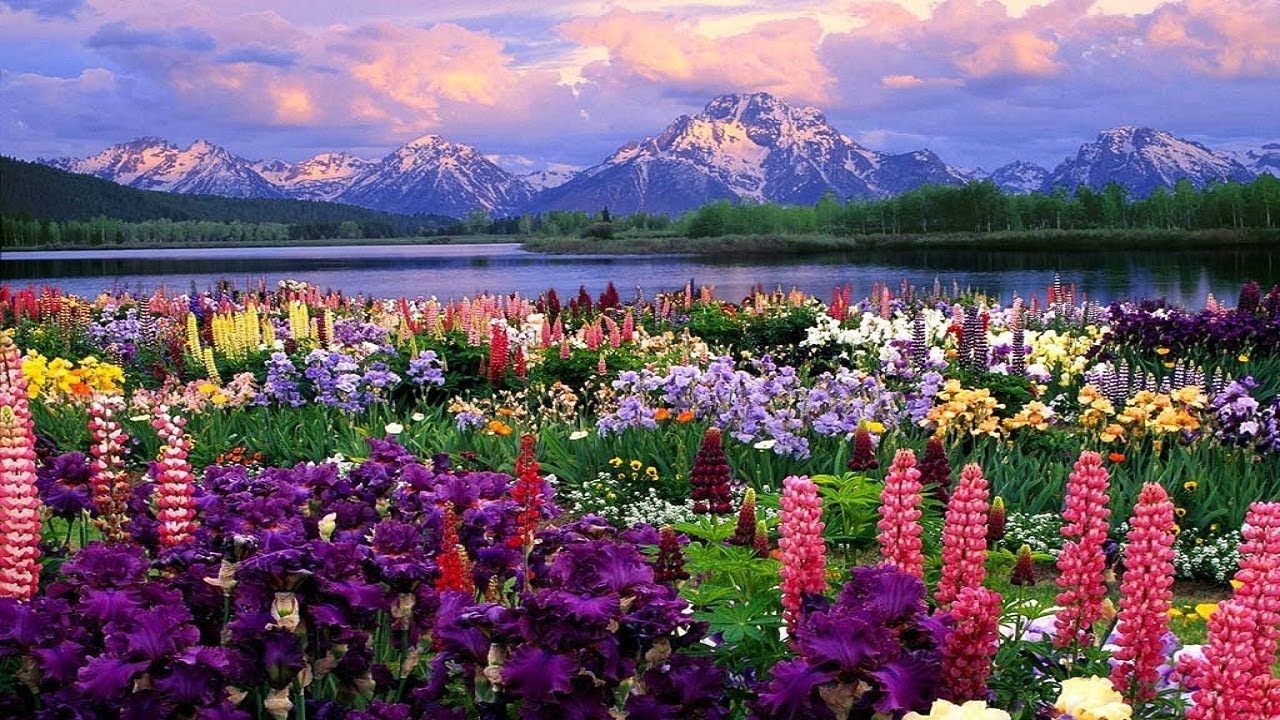 Most Beautiful Nature Backgrounds