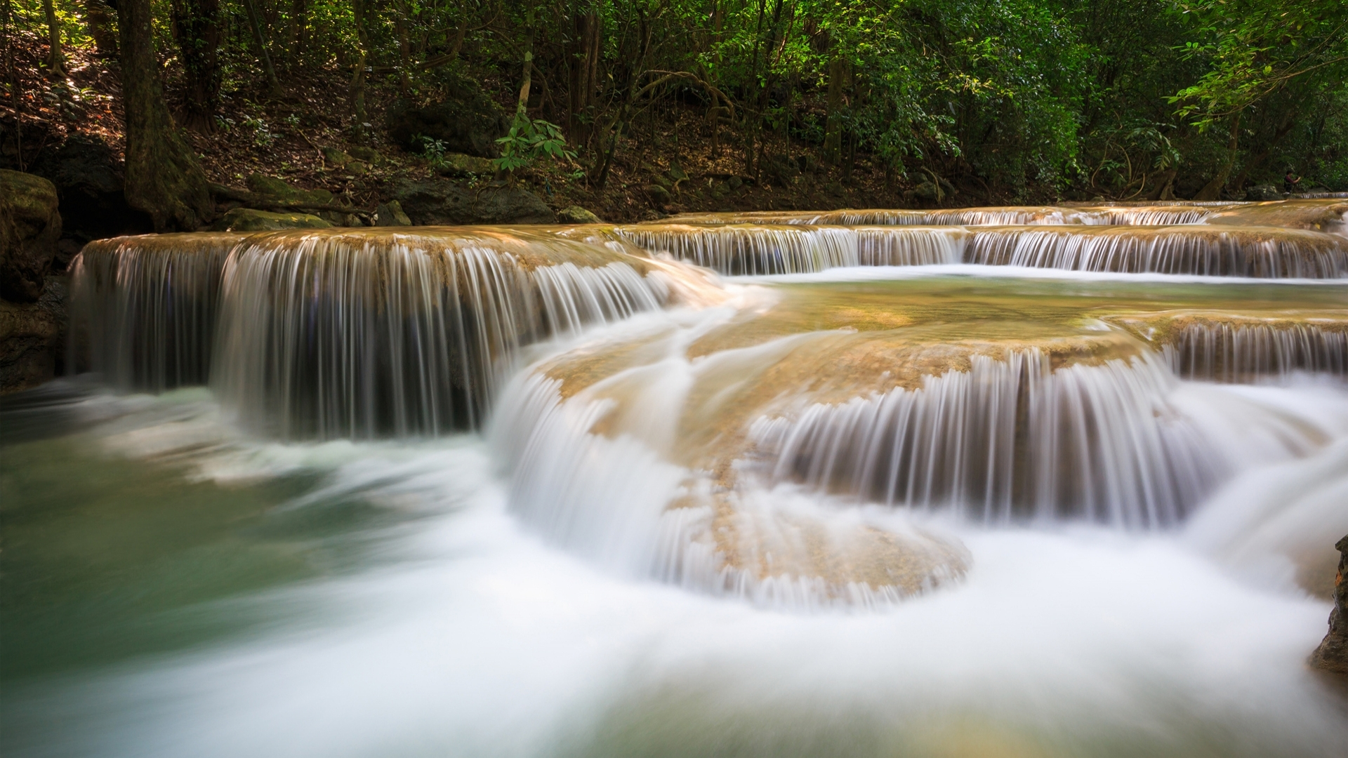 Most Beautiful Nature Backgrounds