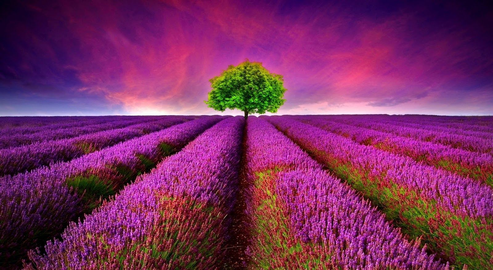 Most Beautiful Nature Backgrounds