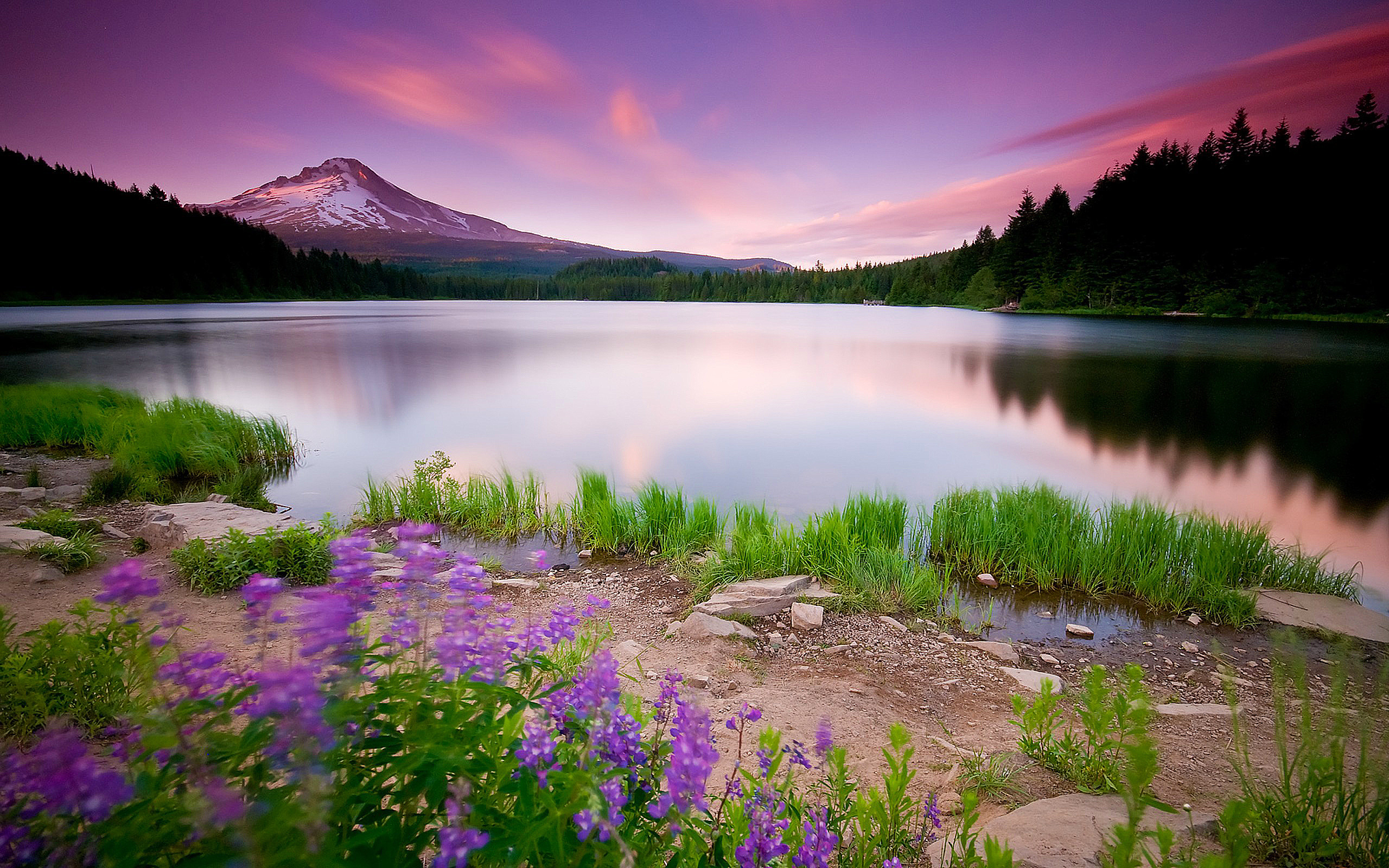 Most Beautiful Nature Backgrounds