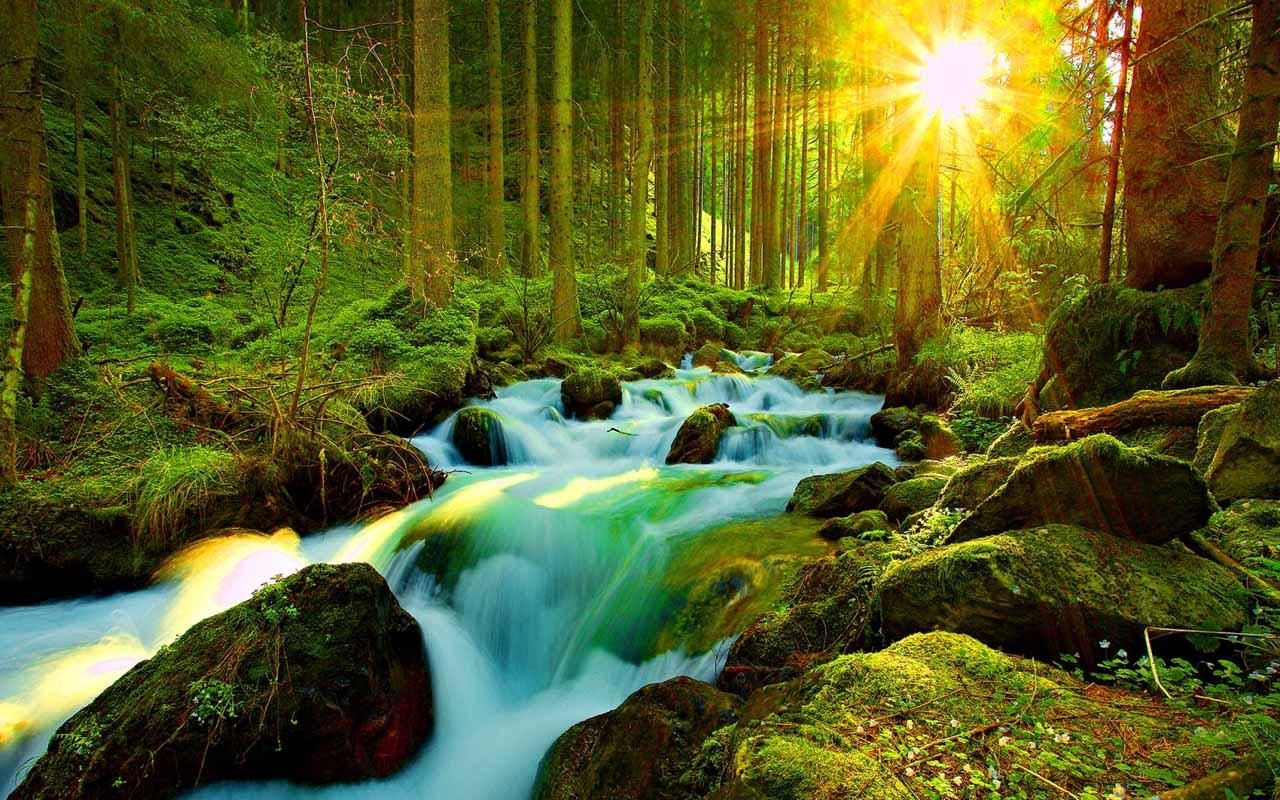 Most Beautiful Nature Backgrounds