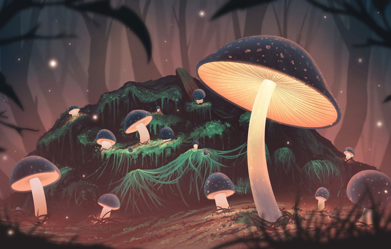 Mushroom Background