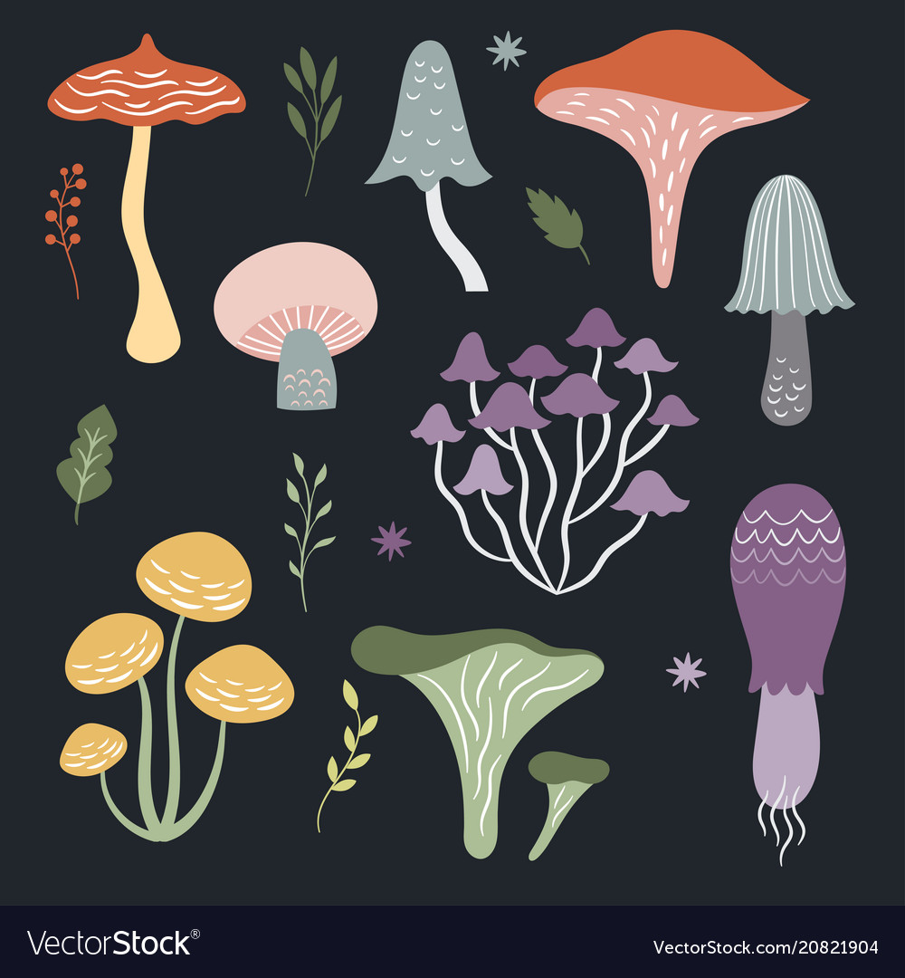 Mushroom Background