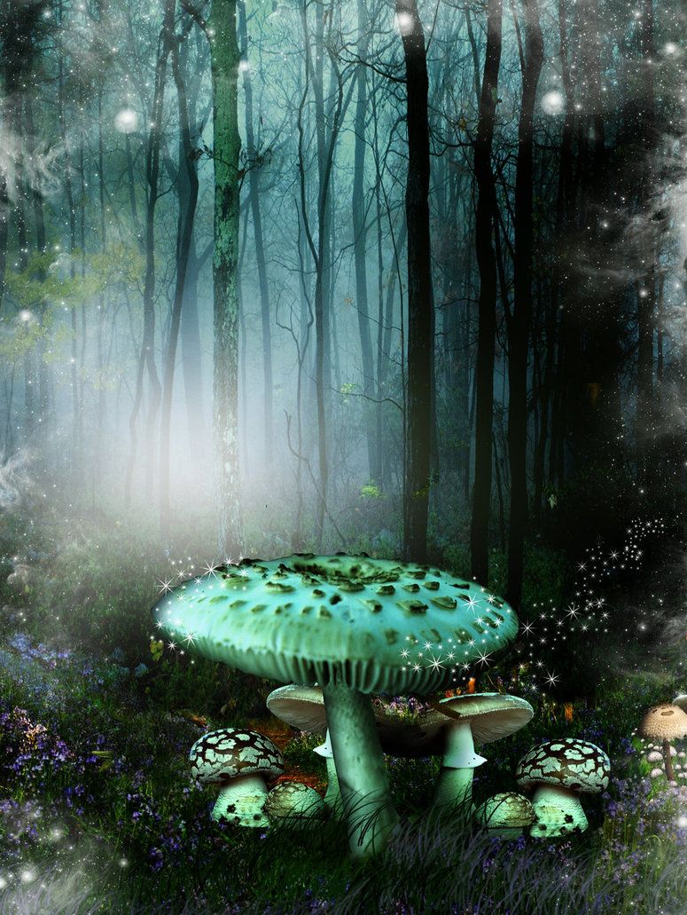 Mushroom Forest Background