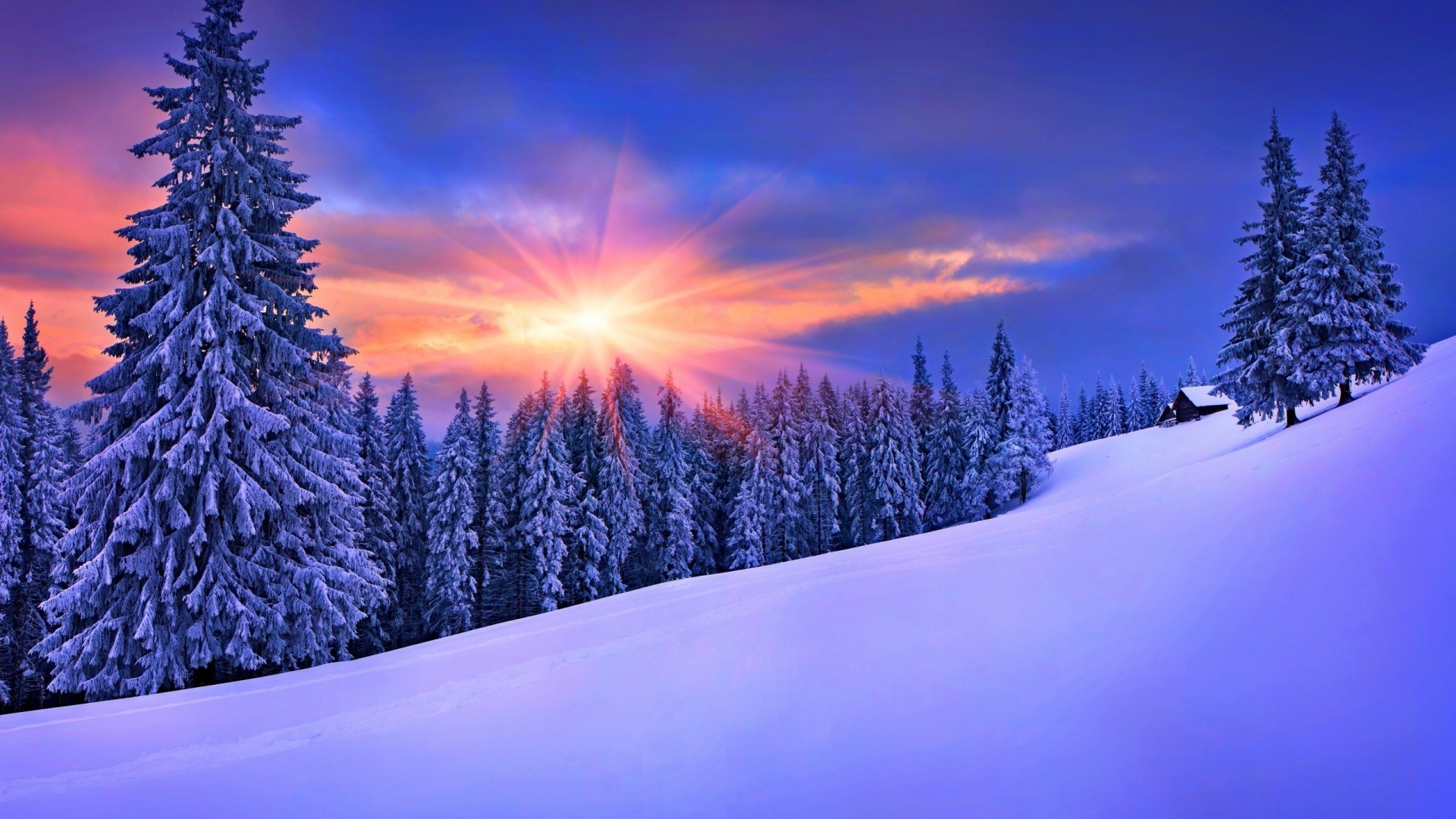 Nature Background Winter