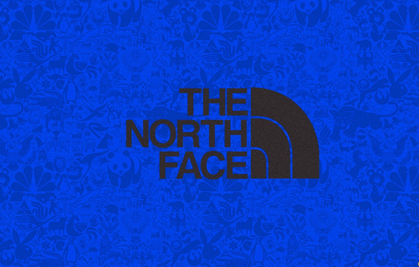 North Face Background