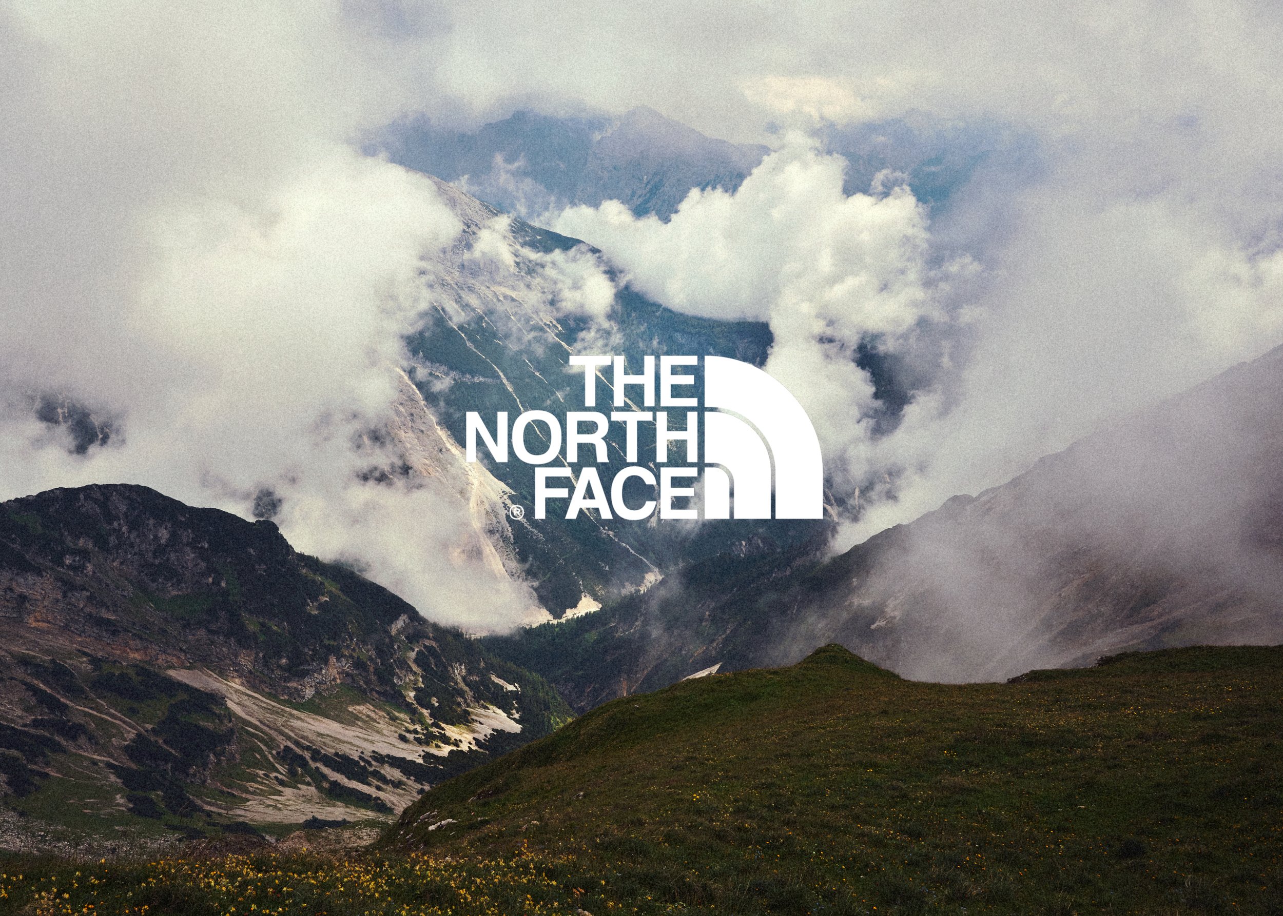 North Face Background