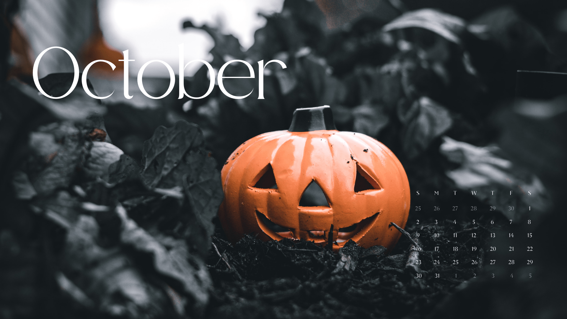 October Background